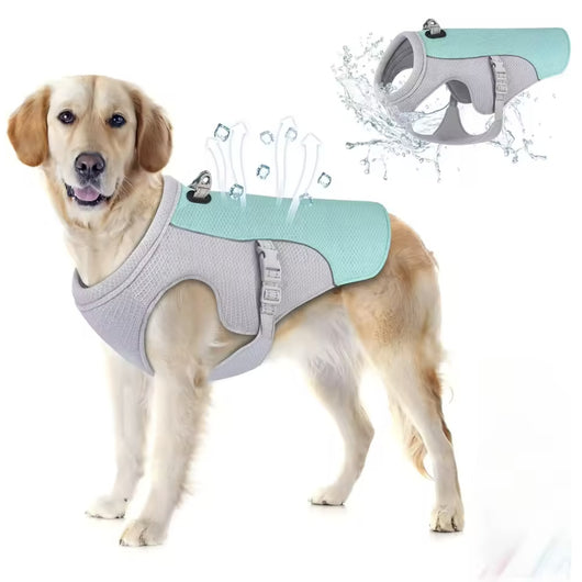 Cooling Vest
