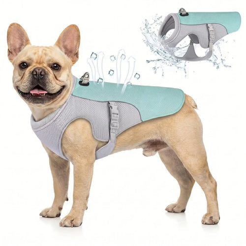 Athenisa Cooling Vest
