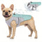 Athenisa Bullmastiff Cooling Vest