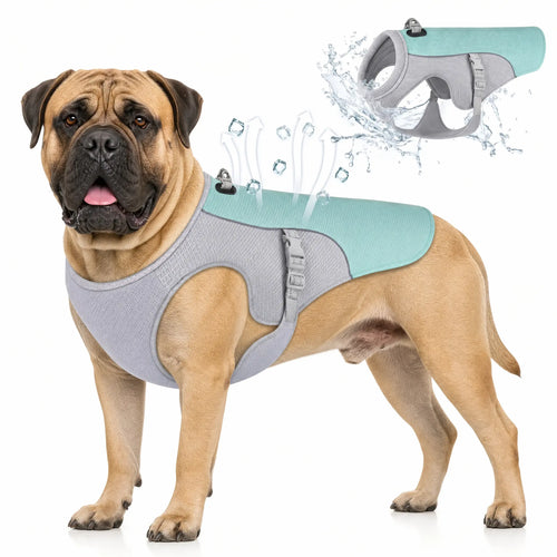 Athenisa Bullmastiff Cooling Vest