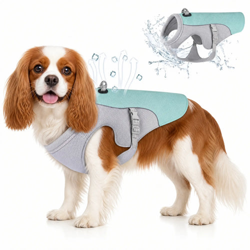 Athenisa Cavalier Cooling Vest