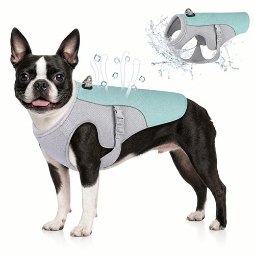 Athenisa Boston Terrier Cooling Vest