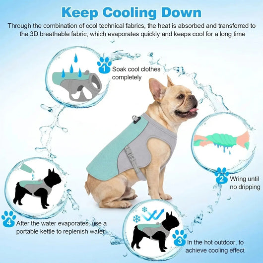 Athenisa Cooling Vest