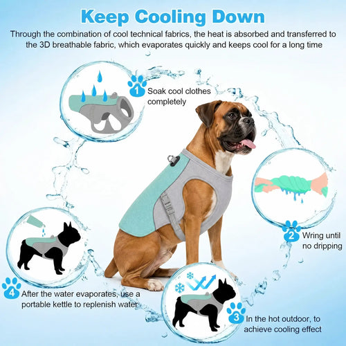 Athenisa Boxer Cooling Vest
