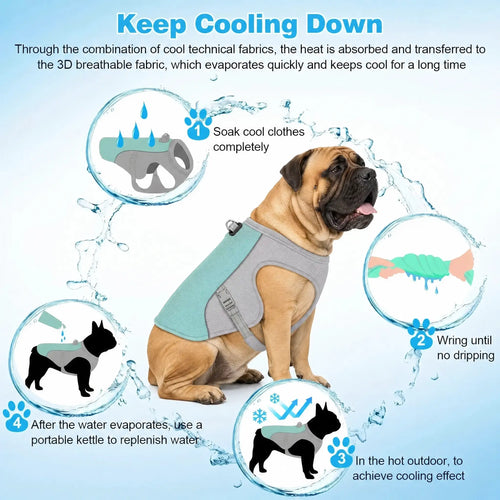 Athenisa Bullmastiff Cooling Vest