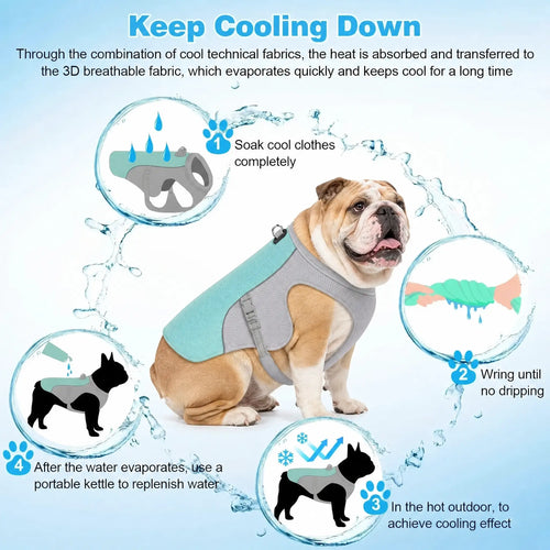 Athenisa English Bulldog Cooling Vest