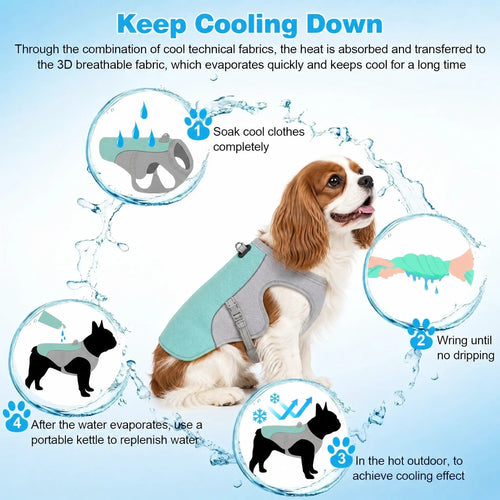 Athenisa Cavalier Cooling Vest