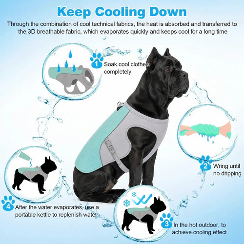 Athenisa Cane Corso Cooling Vest